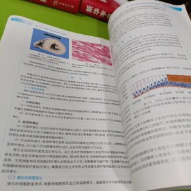 病理学第8版：十二五普通高等教育本科国家级规划教材 如图现货速发