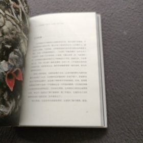 乌鸦简史:重新认识鸟类世界的智者(长销15年的科普经典,"自然""出版人周刊"等全球媒体力荐)