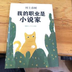 我的职业是小说家