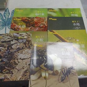 生命的故事 诞生了！(锹甲，蚂蚁，小鲵，水虿，水黾，小龙虾，卷叶虫，蚱蜢)八本合售