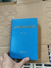 实用汉语教学字典