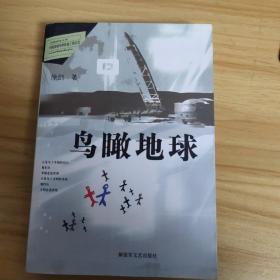 鸟瞰地球