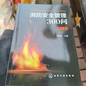 消防安全管理300问（第二版）2024版 正版二手9成新9787122458018