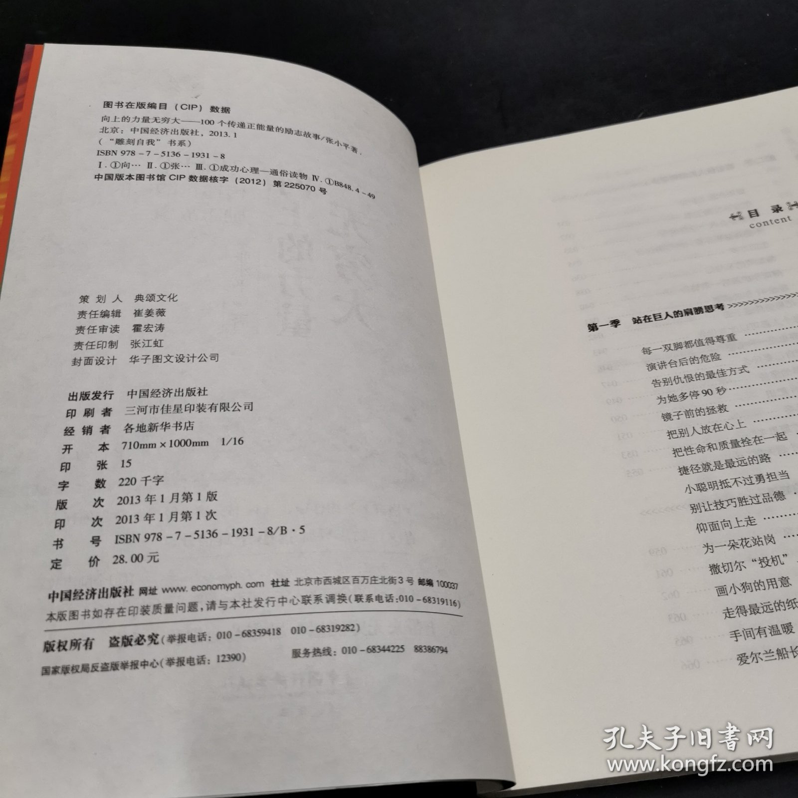 向上的力量无穷大：100个传递正能量的励志故事