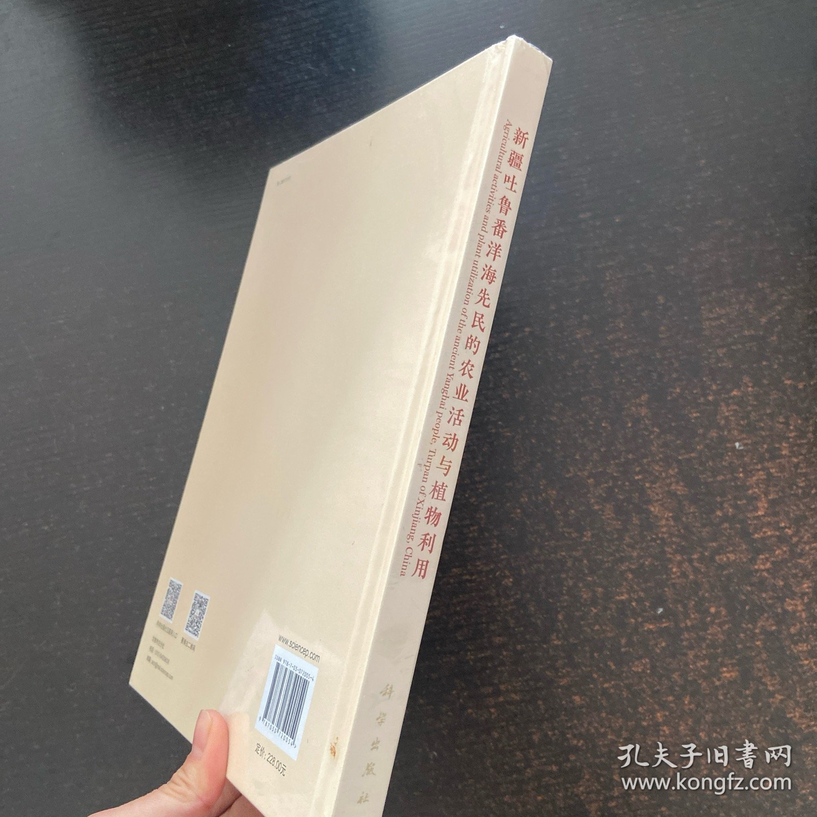 新疆吐鲁番洋海先民的农业活动与植物利用