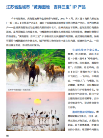 2021年度中国旅游产业影响力典型案例集