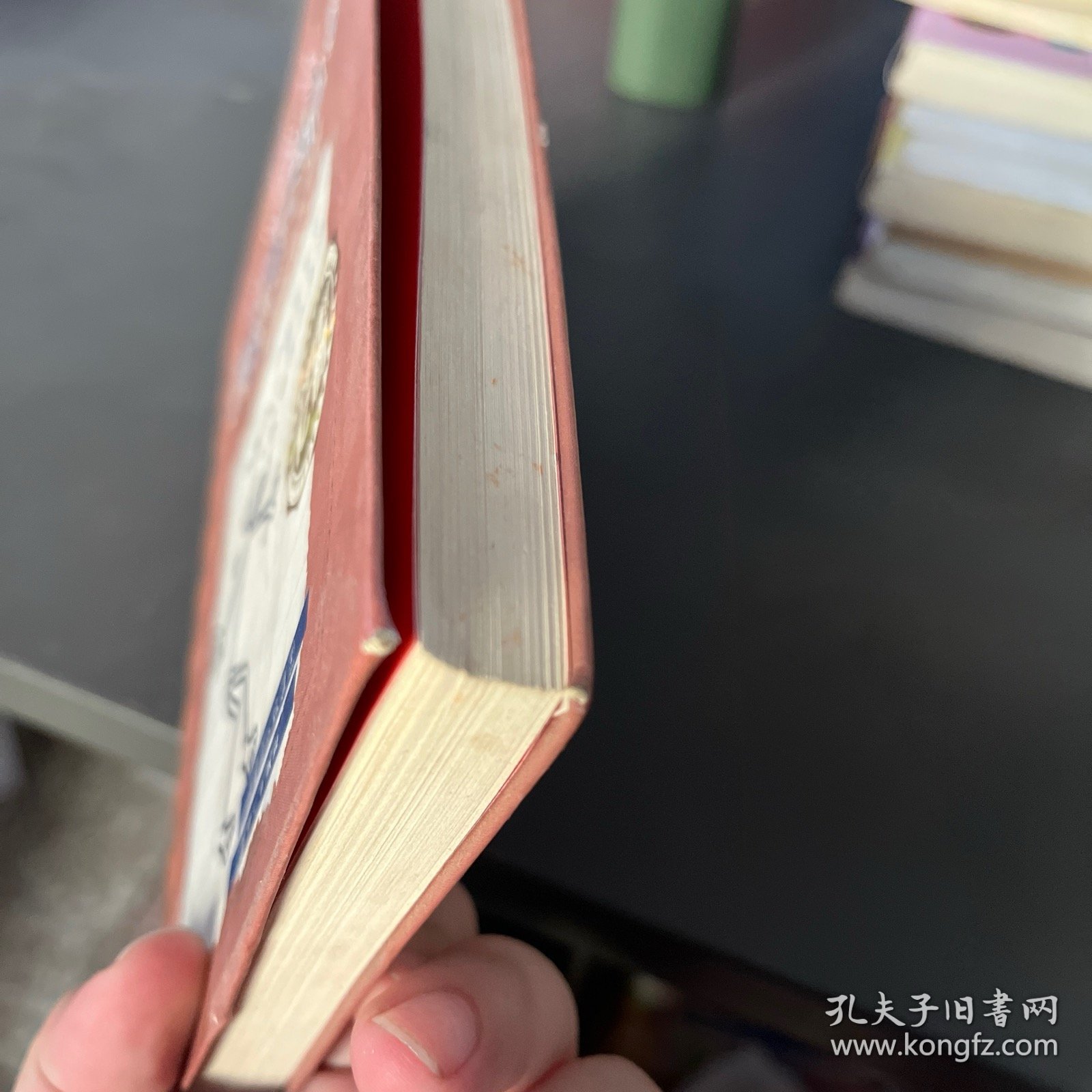 小屁孩日记6：可怕的炮兵学校