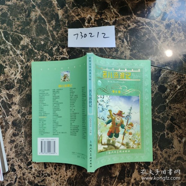 世界文学名著宝库：苦儿流浪记（青少版）