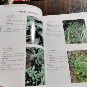 实用壮药手册