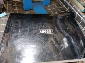 55665积木组装图纸一本