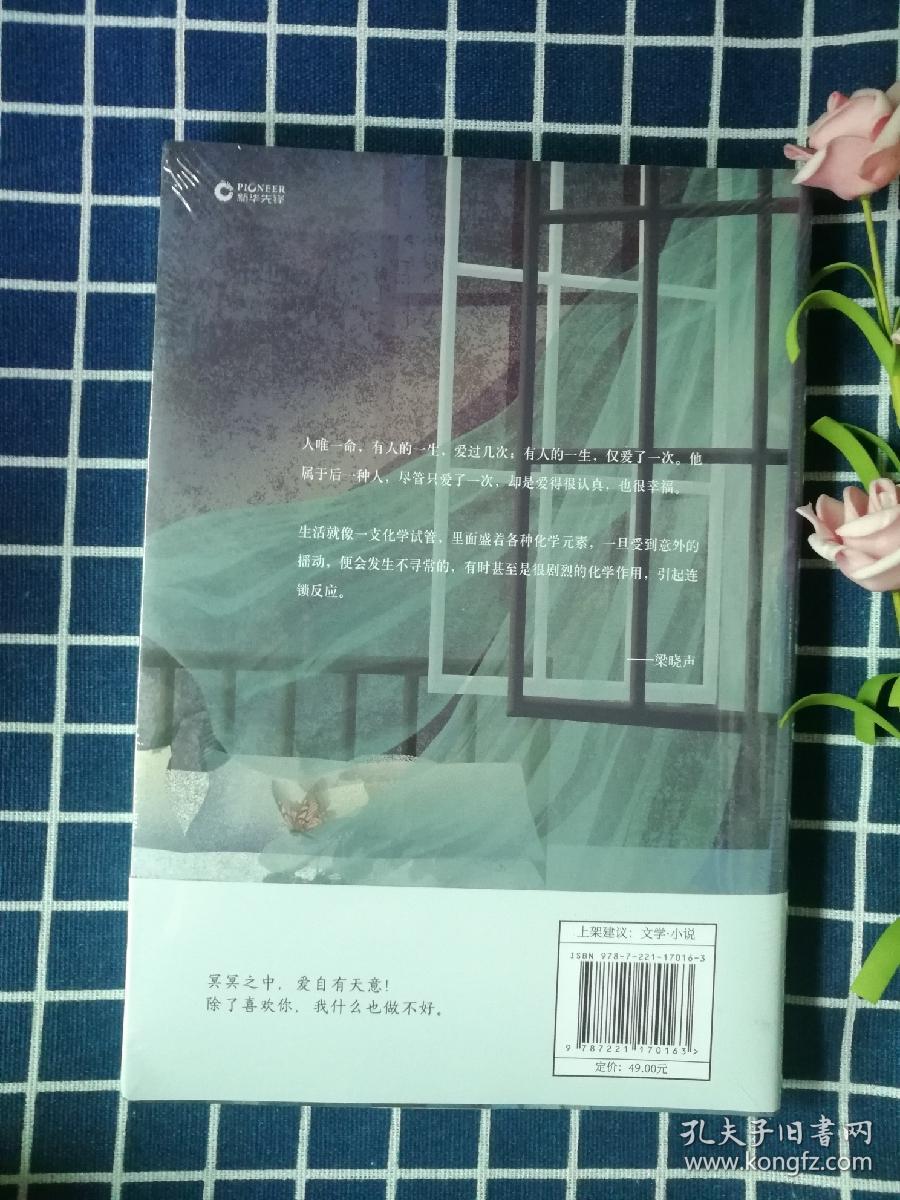 我们如此相爱（真爱之书！第十届茅盾文学奖得主、《人世间》作者梁晓声代表作。《我们如此相爱》改编电影《腊月雪》荣获中宣部“五个一工程”奖！）