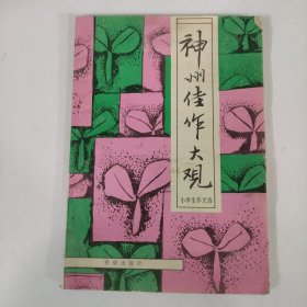 杂志：神州佳作大观
