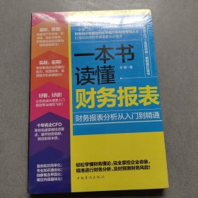 一本书读懂财务报表：财务报表分析从入门到精通