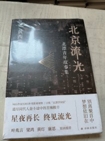 北京流光：北漂青年故事集