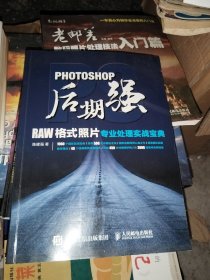 Photoshop后期强：RAW格式照片专业处理实战宝典