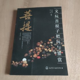 文玩菩提子把玩与鉴赏