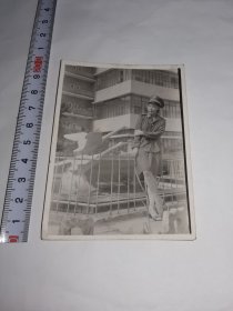 女兵老照片---大尺寸！---1985年《女兵在西南医院前留影》