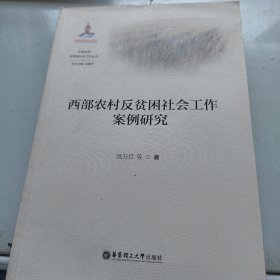 西部农村反贫困社会工作案例研究