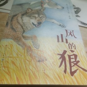 风山的狼