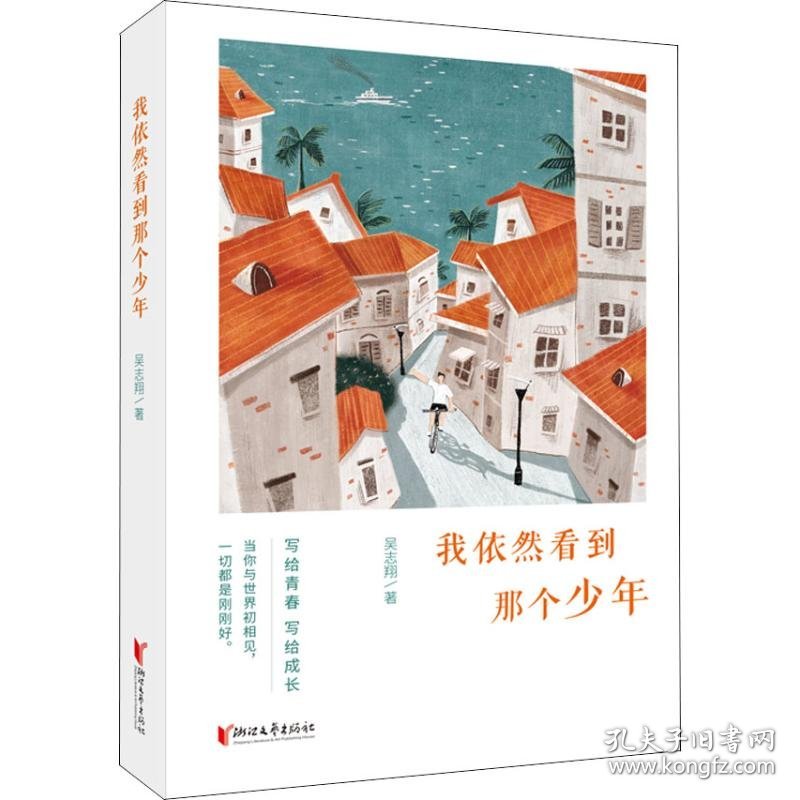 我依然看到那个少年