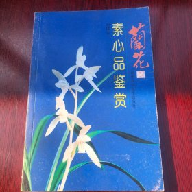 兰花素心品鉴赏