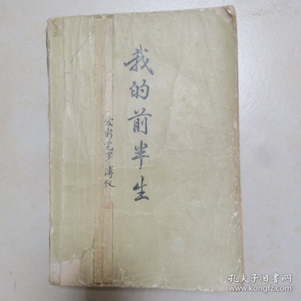 我的前半生