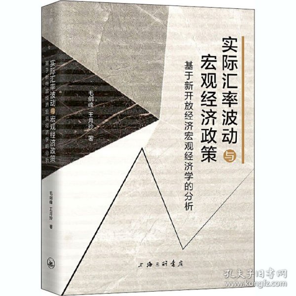 实际汇率波动与宏观经济政策—基于新开放经济宏观经济学的分析