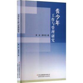 【正版新书】青少年工作与管理研究