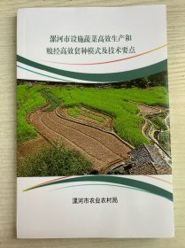 设施蔬菜高效生产和粮经高效套装模式及技术要点