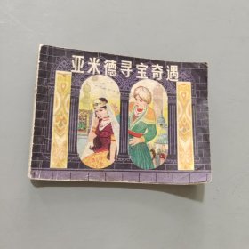 亚米德寻宝奇遇