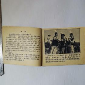 天山的红花连环画