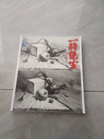 一骑绝尘2 素描静物临摹范本