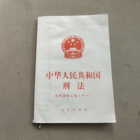 中华人民共和国刑法（含刑法修正案（十一））