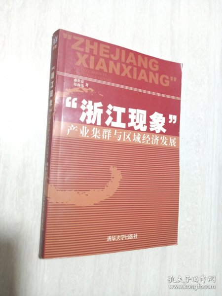 “浙江现象”产业集群与区域经济发展