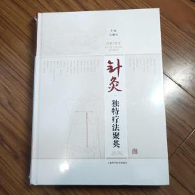 針灸獨(dú)特療法聚英 精裝全新