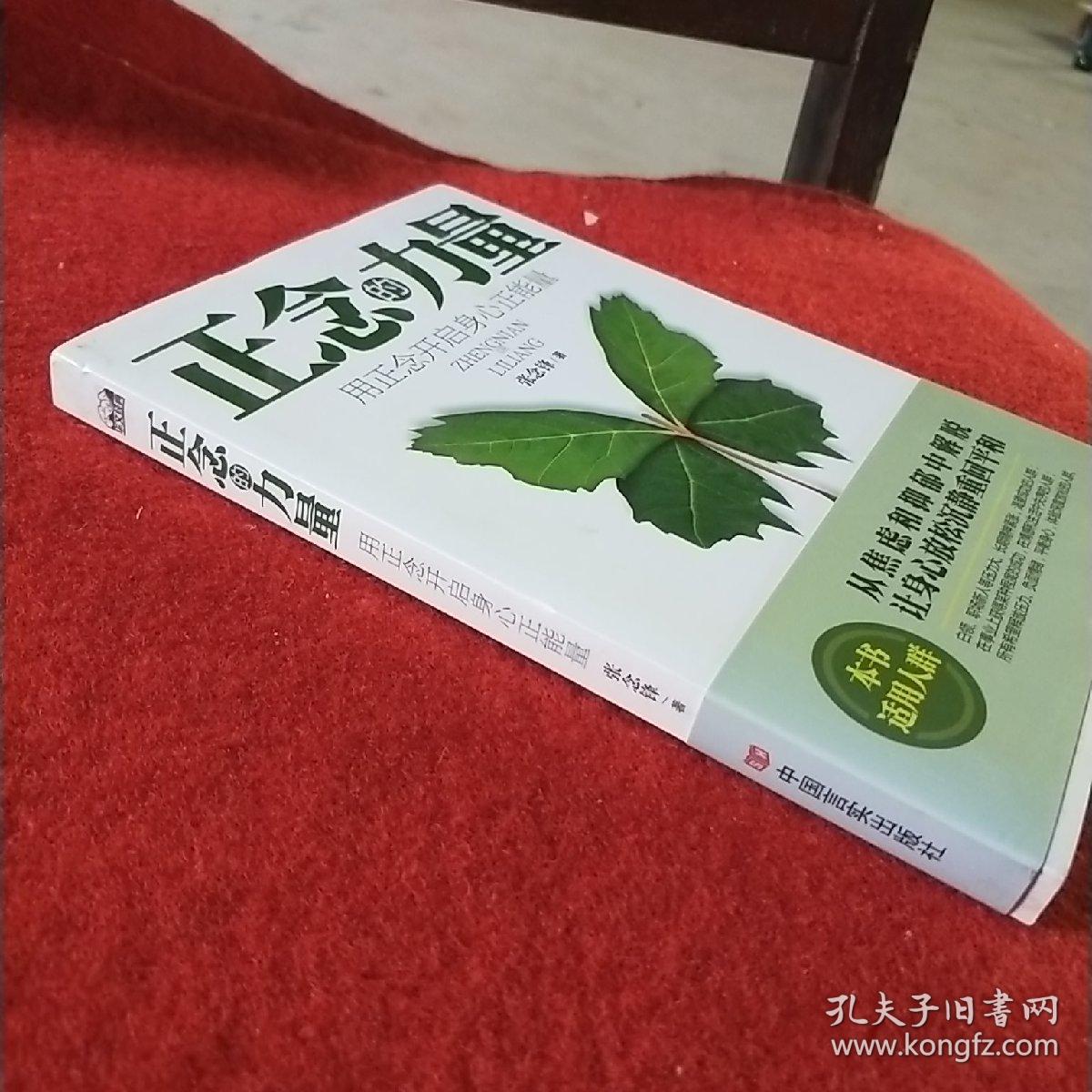 正念的力量：用正念开启身心正能量，拍照为准。