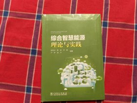 综合智慧能源理论与实践