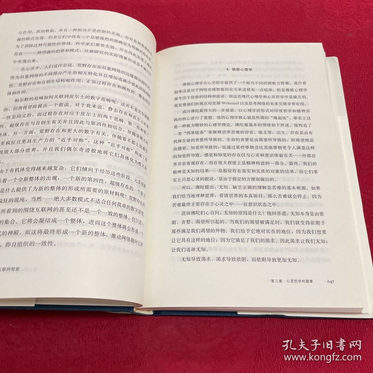 信息文明与当代哲学发展译丛·创建互联网智能：荒野计算、分布式数字意识和新兴的全球大脑