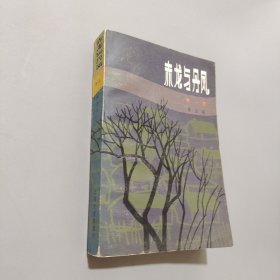 赤龙与丹凤