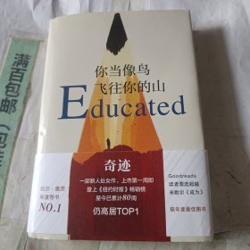 你当像鸟飞往你的山
