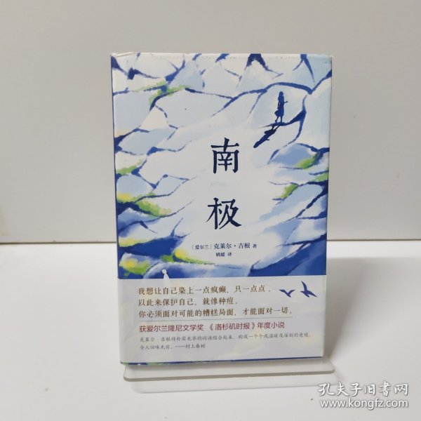 南极