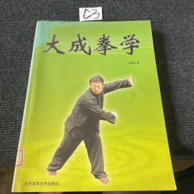 大成拳学