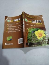 图说棚室山野菜栽培技术