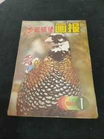 少年科学画报 1983 1