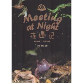 夜遇记 杂文 张海华