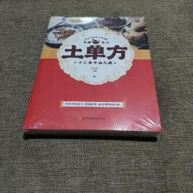 土单方   中医书籍养生偏方大全民间老偏方美容养颜常见病防治 保健食疗偏方秘方大全小偏方老偏方中医健康养生保健疗法