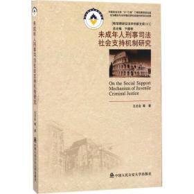 未成年人刑事社會支持機制研究 法學理論 王貞會 等 新華正版