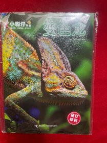 小聪仔 科普版 变色龙