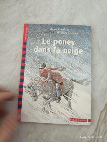 Le poney dans la neige