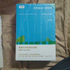 东西系列:天空划过一道白线回答+多维的回响(有一本签名)